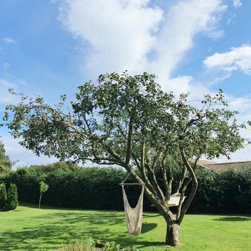 indretning have hængekøje