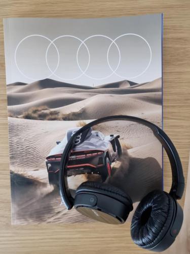 hjemmekontor-headset