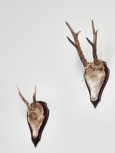 kontorindretning-vaegudsmykning